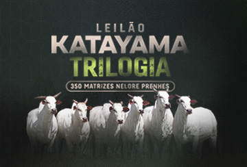 LEILÃO KATAYAMA TRILOGIA
